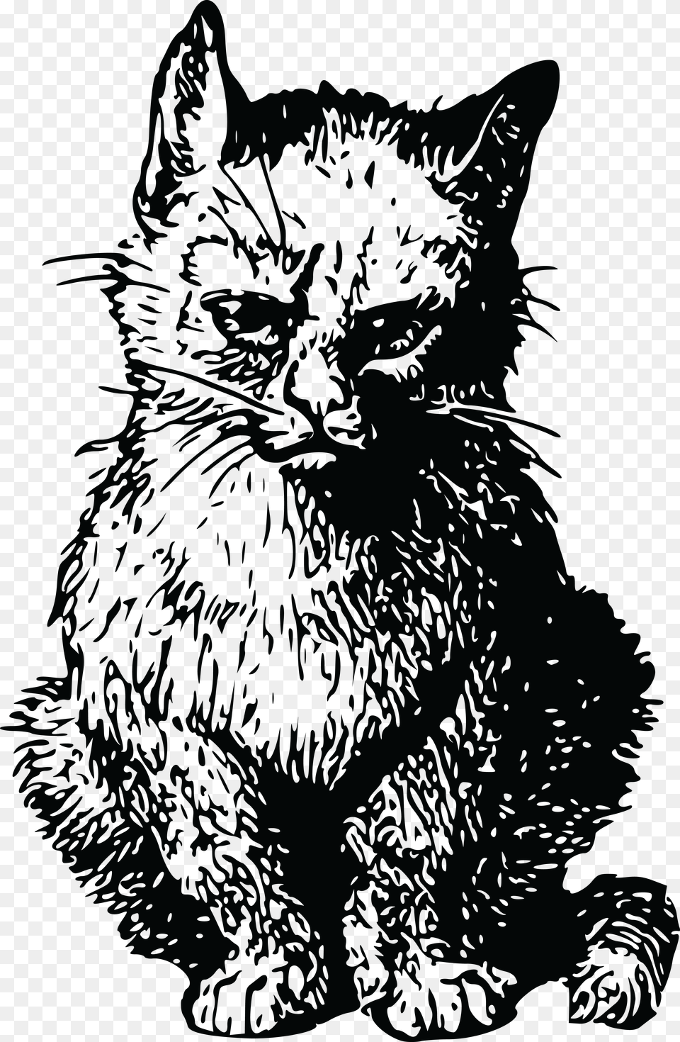 Cat, Animal, Mammal, Pet, Art Free Transparent Png