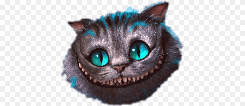 Cat Alice In Wonderland Creepy Cute Alice In Wonderland Cat, Animal, Mammal, Pet Free Png Download