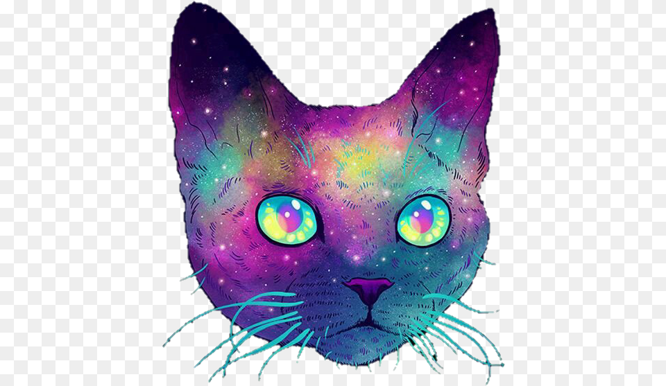 Cat And Galaxy Image Cat Galaxy, Purple, Pattern, Night, Outdoors Png