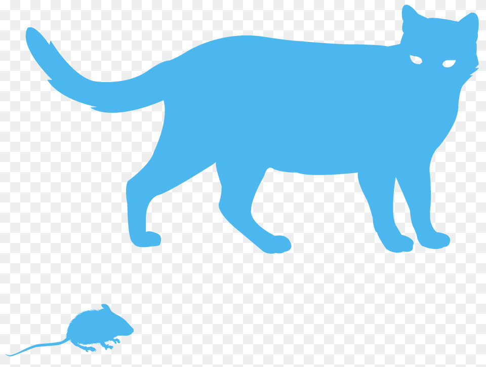 Cat And Mouse Silhouette, Animal, Mammal, Pet, Rat Free Png Download
