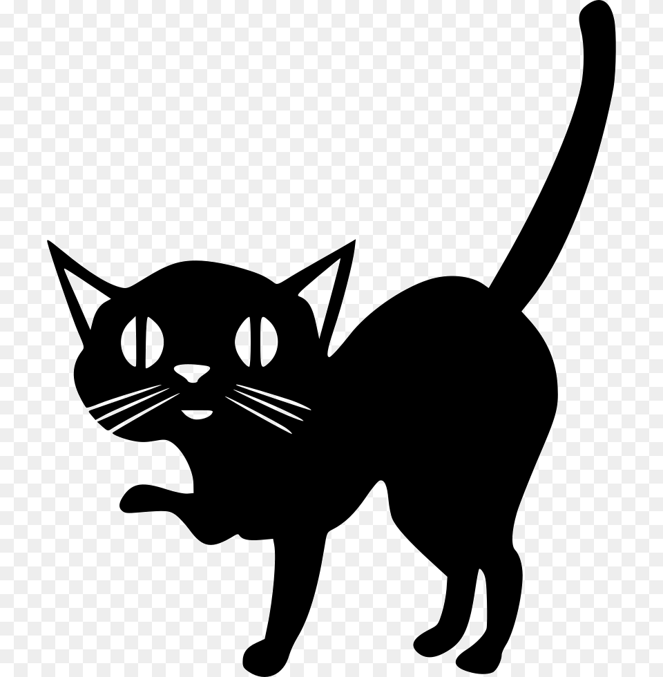 Cat Animal Black Shadow Tail Comments Cat, Stencil, Mammal, Pet, Silhouette Png Image