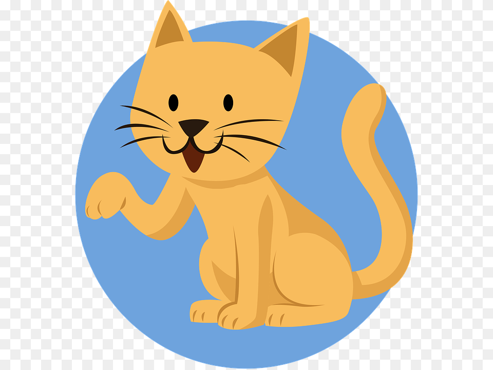 Cat Animal Cartoon Kitten Orange Kids Pet Cute Cartoon Background Cat, Mammal, Baby, Person, Face Free Transparent Png