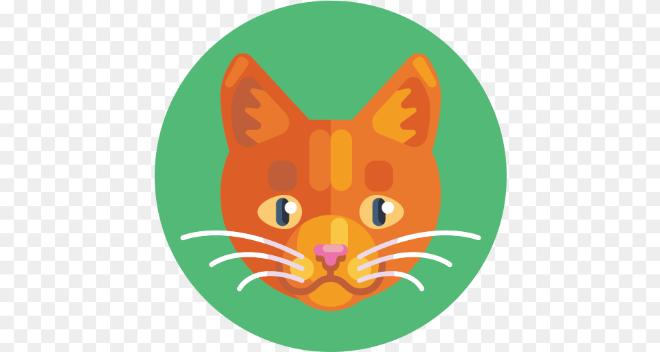 Cat Animals Icons Happy, Animal, Mammal, Pet Free Transparent Png