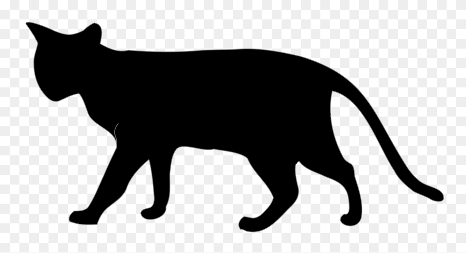 Cat Black, Silhouette, Animal, Mammal, Pet Free Png