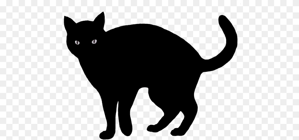 Cat Black And White Clip Art Png