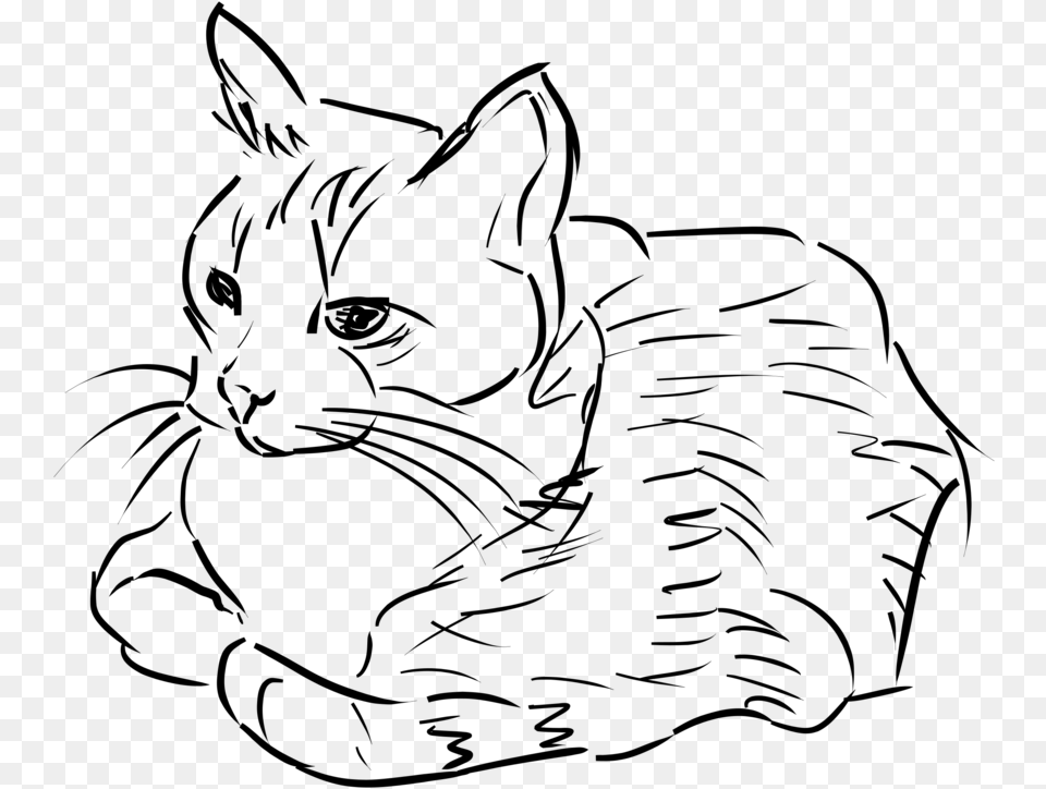 Cat Black And White White Cat Clipart Collection Cat Sitting Clipart Black And White, Gray Free Png Download