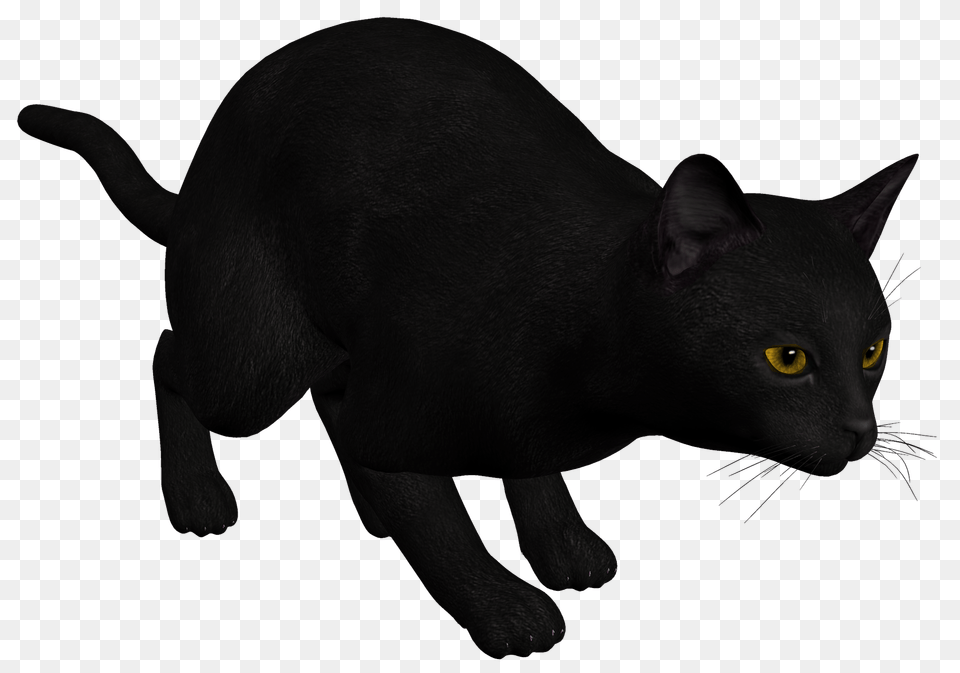Cat Black Clipart, Animal, Mammal, Pet, Black Cat Png