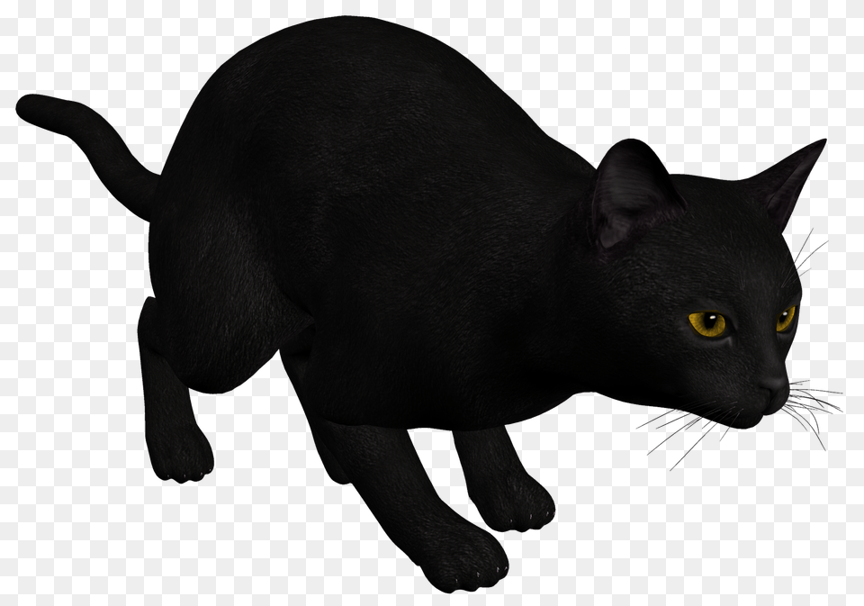 Cat Black Clipart, Animal, Mammal, Pet, Black Cat Free Png