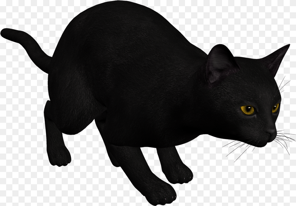 Cat Black Clipart Cat Black Clipart, Animal, Mammal, Pet, Black Cat Free Png