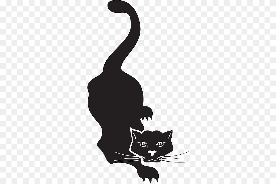 Cat Black Halloween Tail Whiskers Pounce Prowling Brush Photoshop Cat, Silhouette, Stencil, Animal, Mammal Free Png