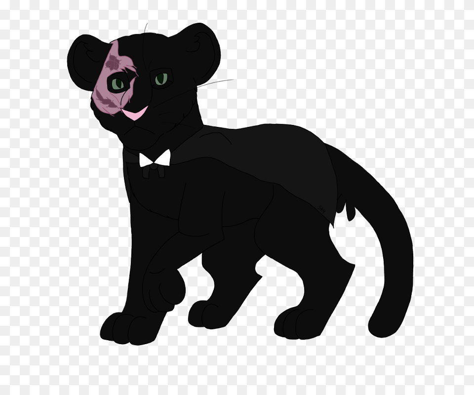 Cat Black Panther Leopard Cougar Felidae, Animal, Mammal, Wildlife, Pet Free Transparent Png