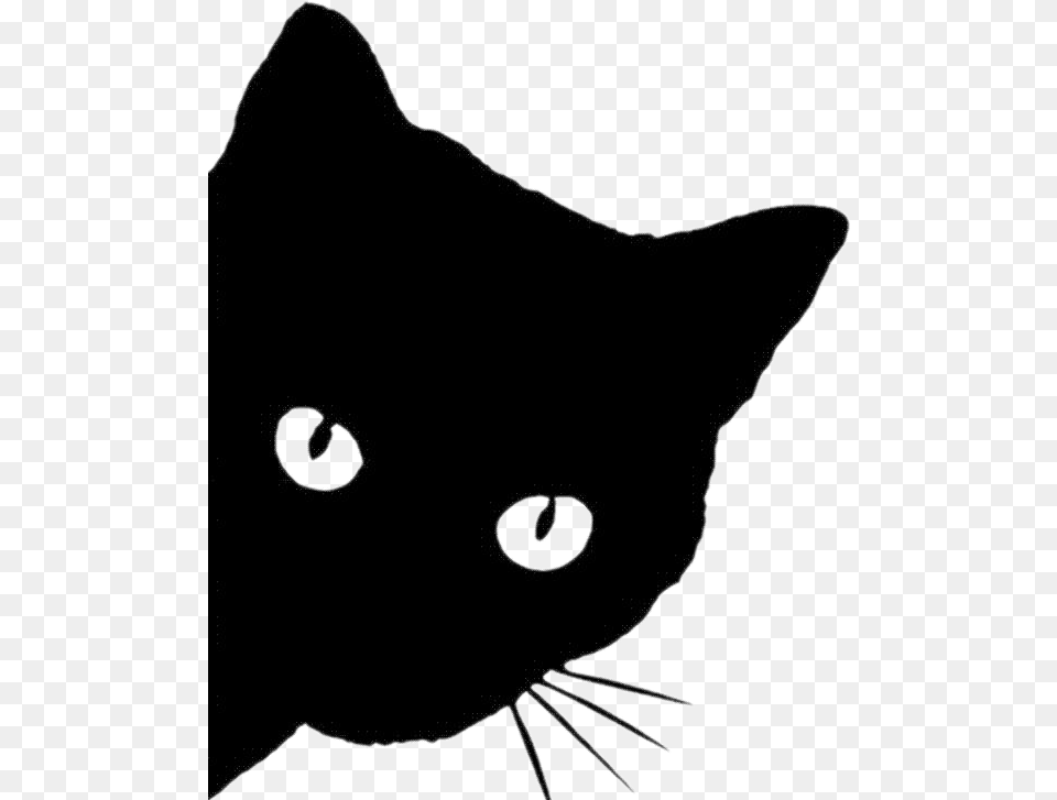 Cat Black Silhouette Catsilhouette, Animal, Mammal, Pet, Black Cat Free Png Download