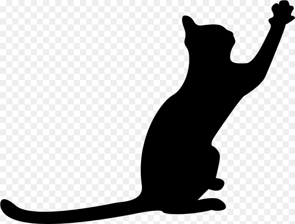 Cat Black Silhouette With Extended Tail And One Paw To Front, Animal, Mammal, Pet Free Png Download