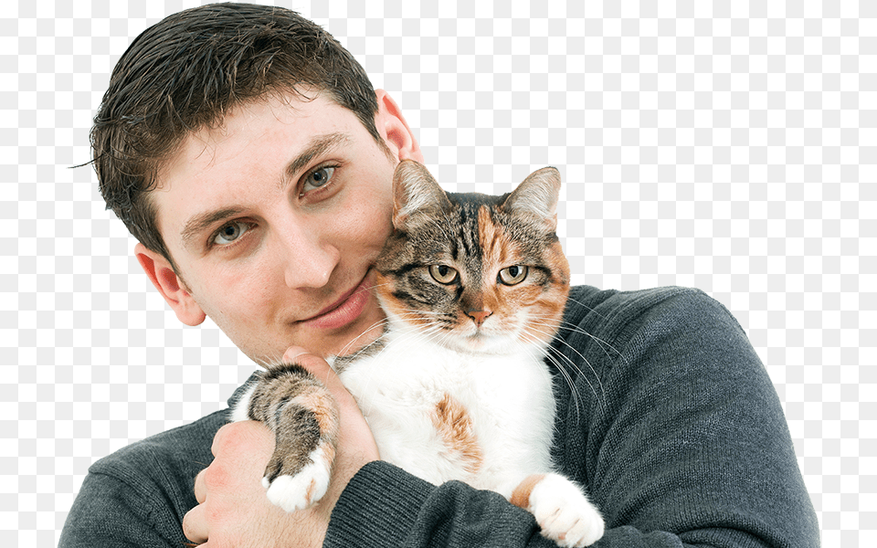 Cat Boarding In Lone Tree Co Domestic Cat, Adult, Person, Man, Male Free Transparent Png