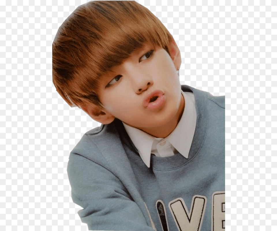 Cat Bts Kim Taehyung, Boy, Photography, Person, Male Png