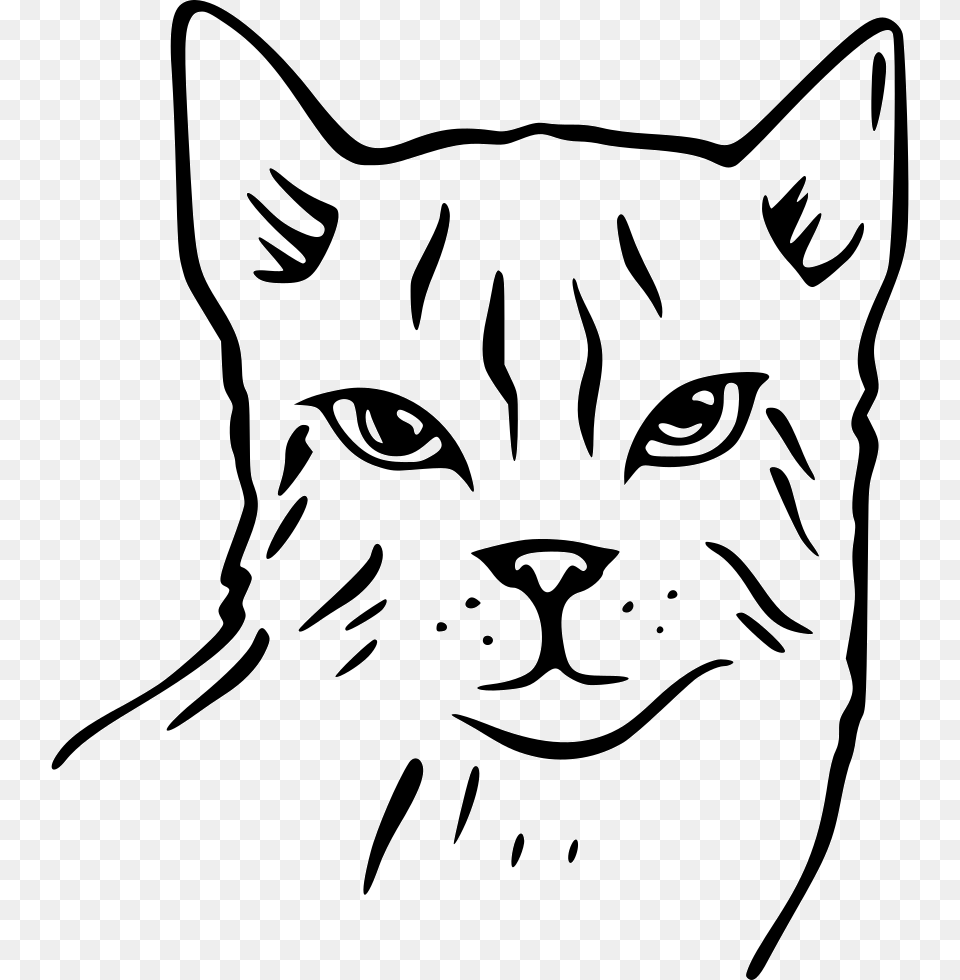 Cat Cat Face File, Baby, Person, Art, Drawing Free Png