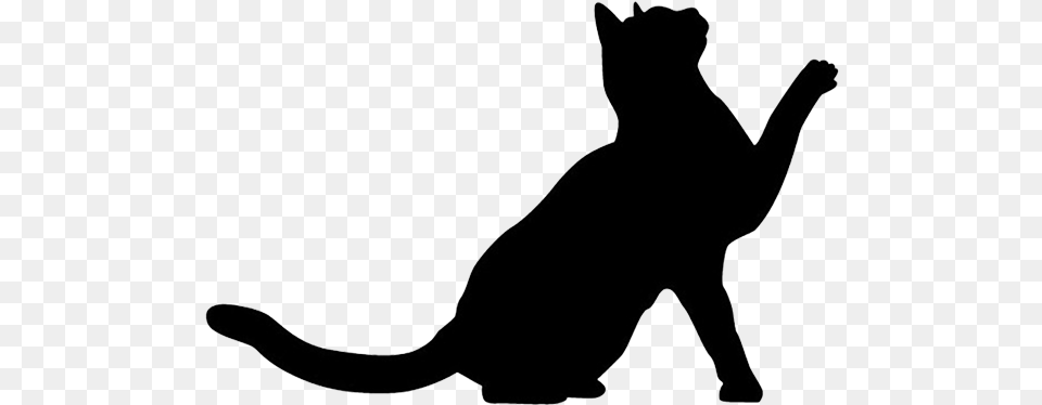Cat Cat Silhouette Animal, Mammal, Pet, Stencil Free Transparent Png