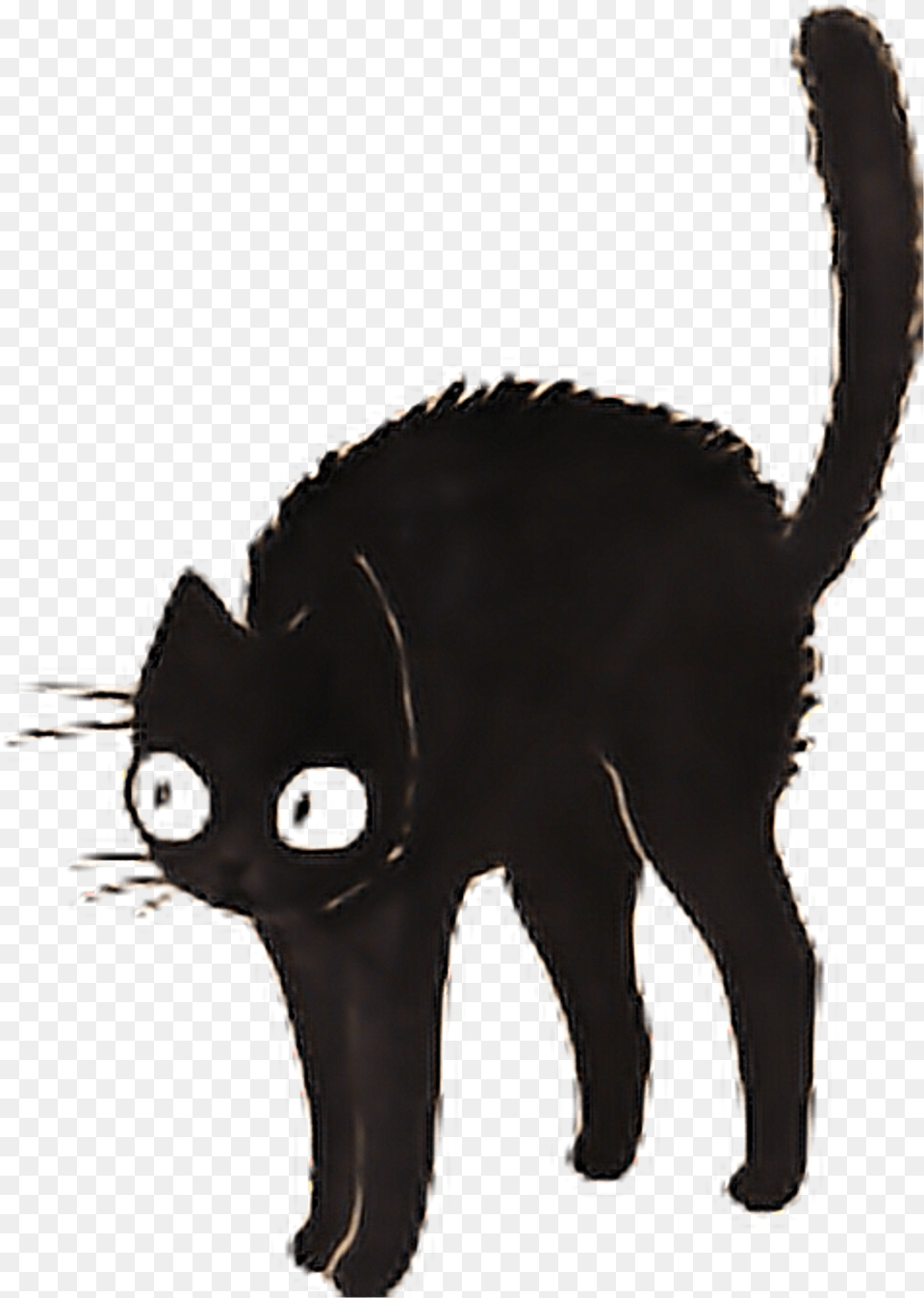 Cat Cats Black Blackcat Dark Tumblr Sticker Transparent Black Cat Sticker, Silhouette, Animal, Mammal, Pet Free Png Download