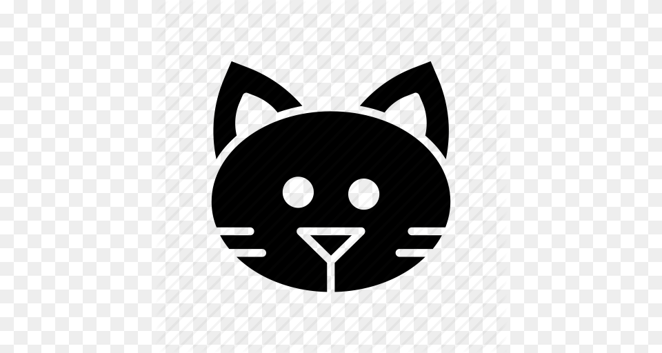 Cat Chat Feline Gato Kitten Kitty Pet Icon Png Image