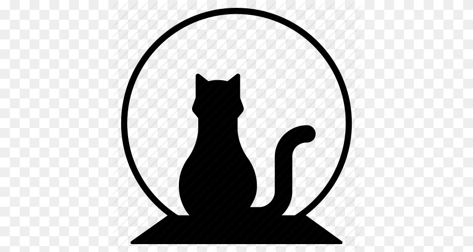Cat Chat Halloween Moon Night Roof Superstition Icon, Silhouette, Animal, Mammal, Pet Free Png Download
