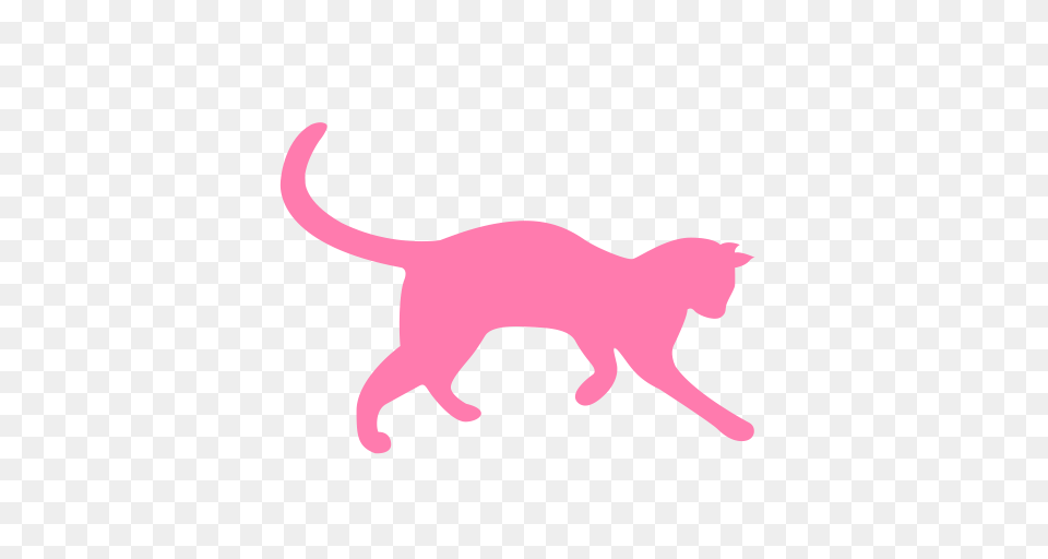 Cat Checked Cat Family Icon With And Vector Format For, Silhouette, Animal, Kangaroo, Mammal Free Png