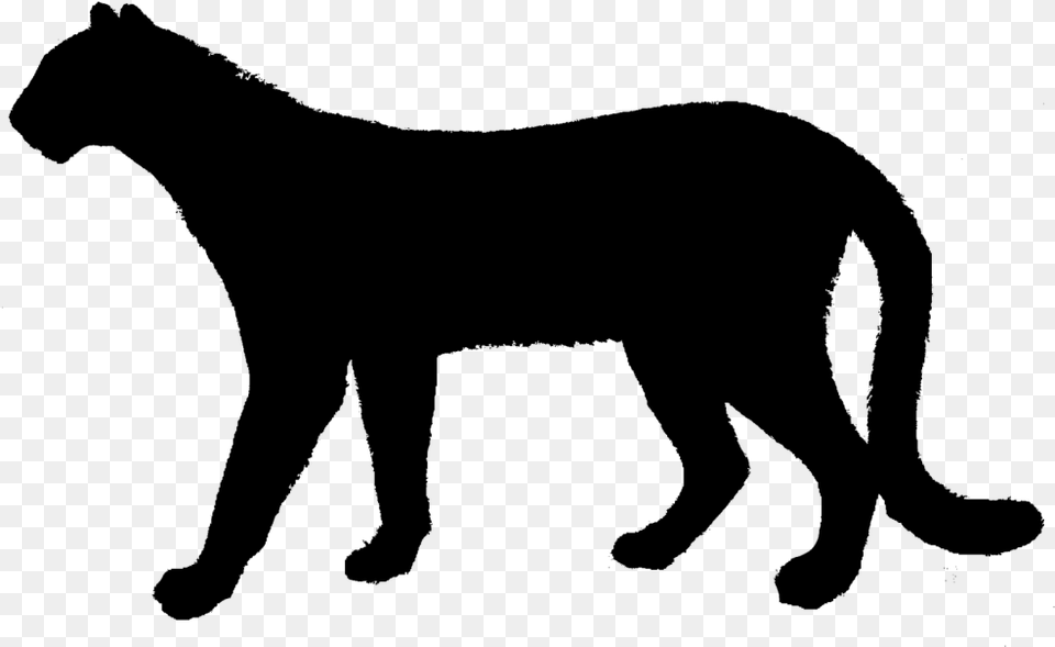 Cat Cheetah Clip Art Silhouette Lion Cheetah Silhouette Transparent, Gray Png Image