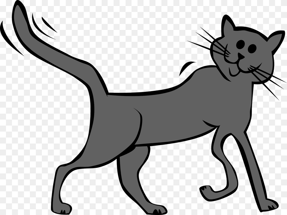 Cat Clip, Animal, Kangaroo, Mammal Free Png