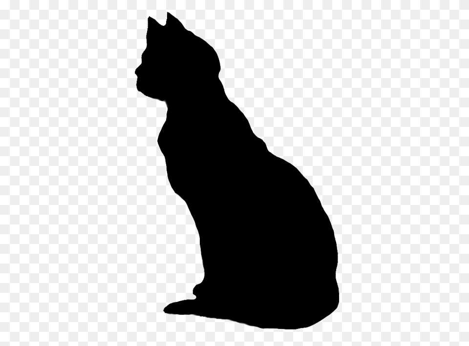 Cat Clip Art Cat Sketches Cat Drawings Graphics, Animal, Mammal, Pet, Silhouette Free Png Download