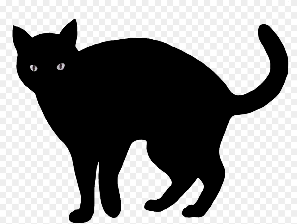 Cat Clip Art Silhouette Images Png Image