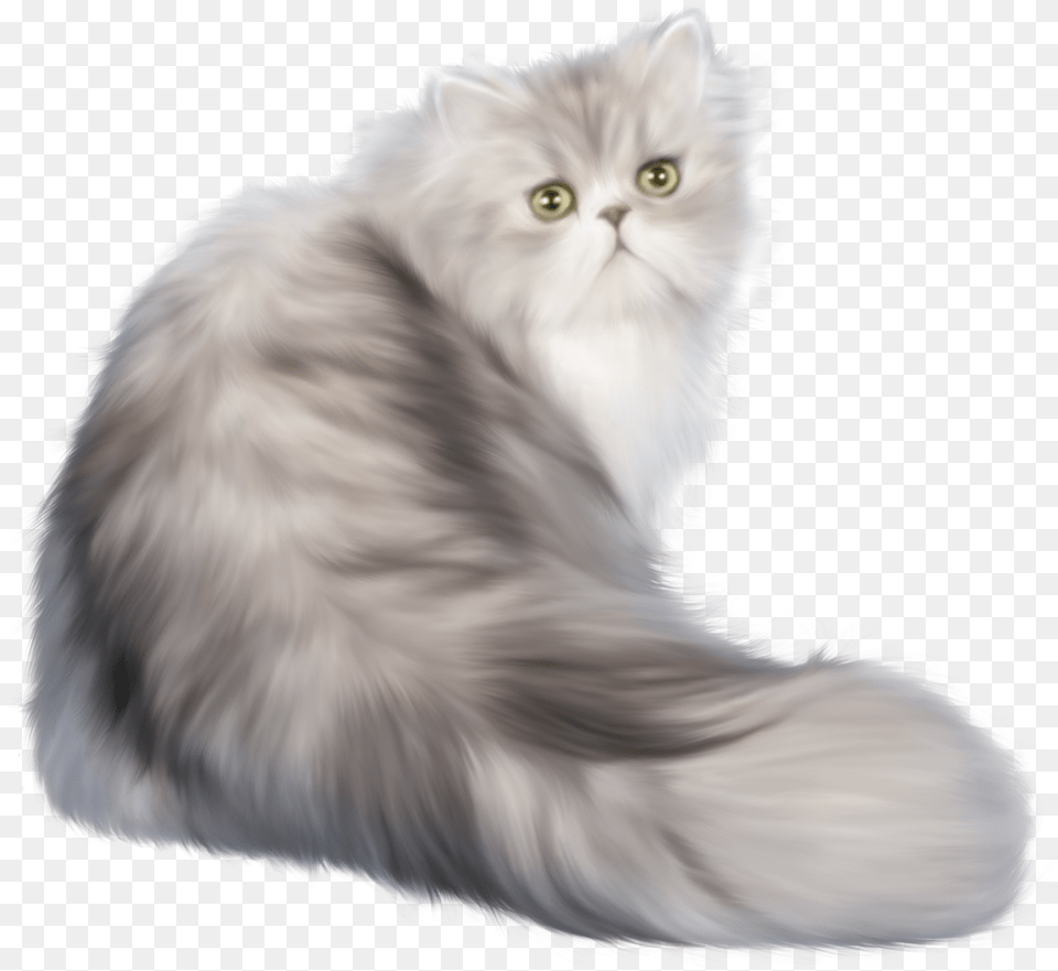 Cat Clip Art Transparent Persian Cat, Angora, Animal, Mammal, Pet Free Png