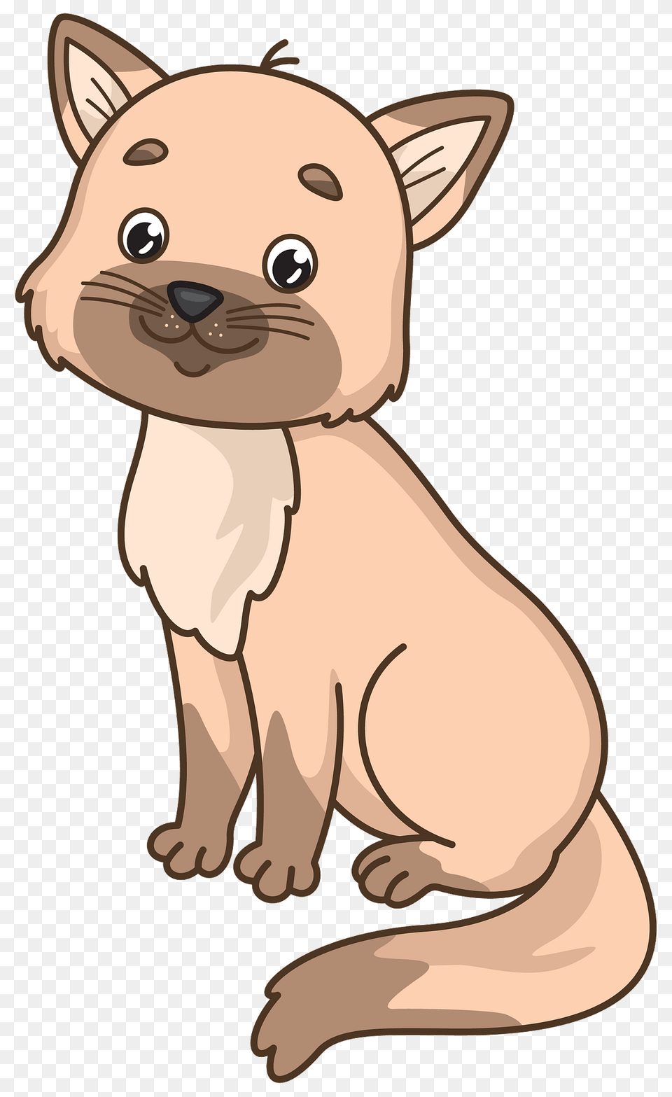 Cat Clipart, Animal, Kangaroo, Mammal, Bear Png Image