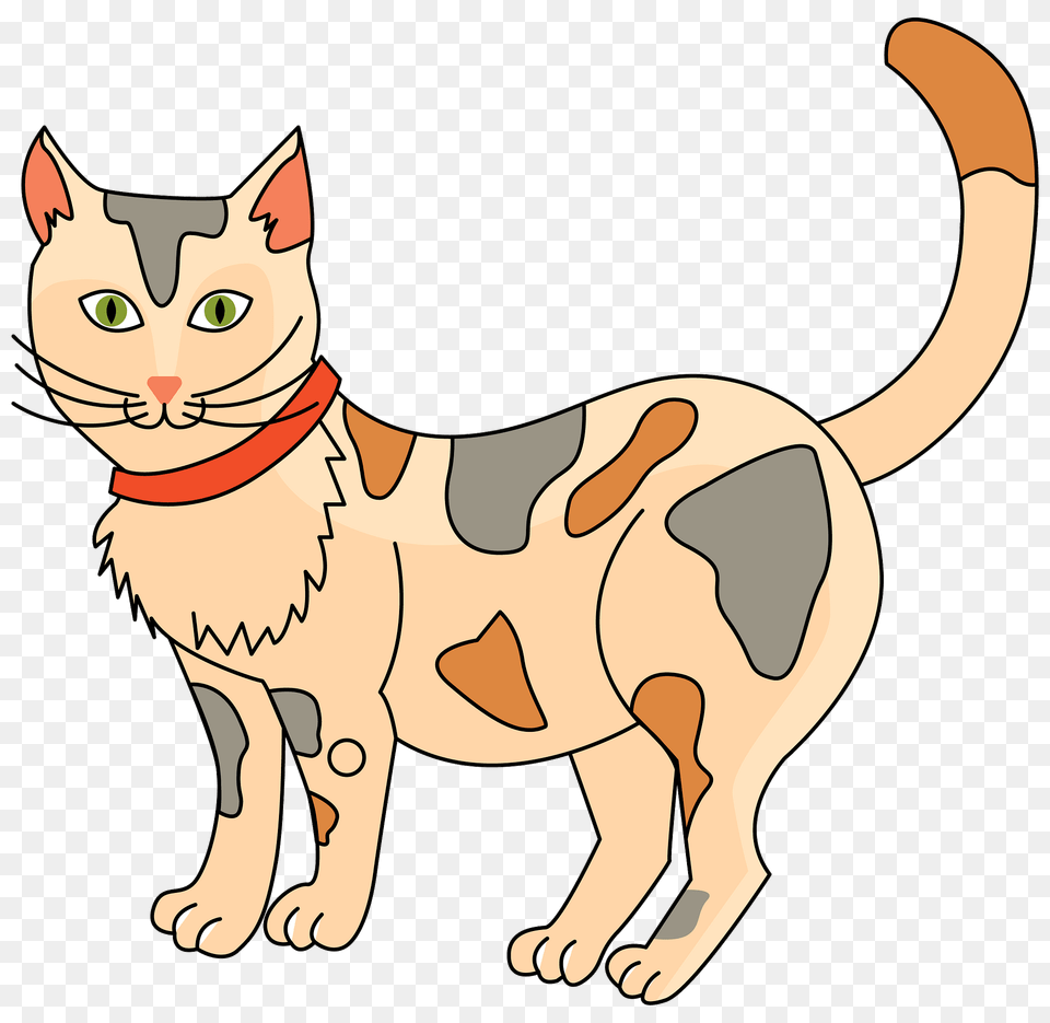 Cat Clipart, Animal, Mammal, Pet, Abyssinian Png Image