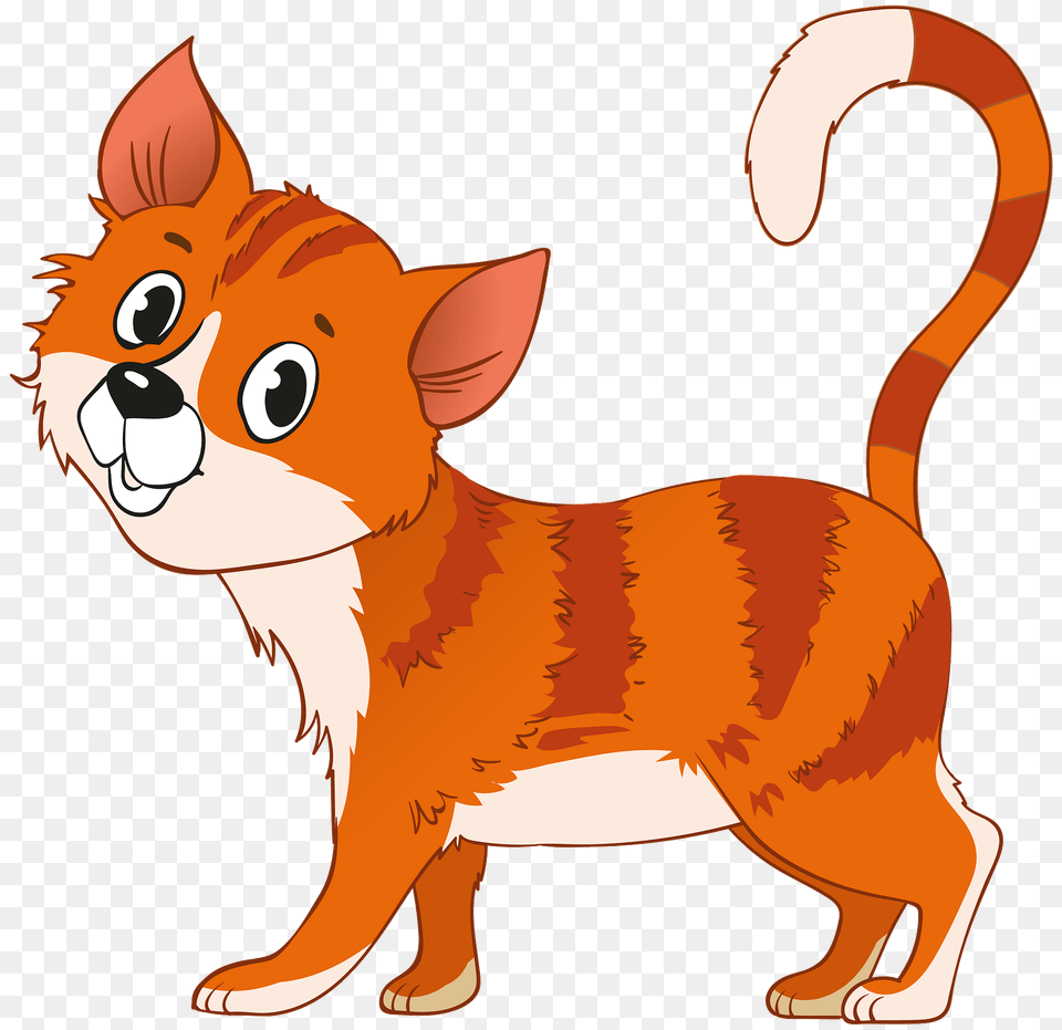 Cat Clipart, Animal, Kangaroo, Mammal, Person Free Png