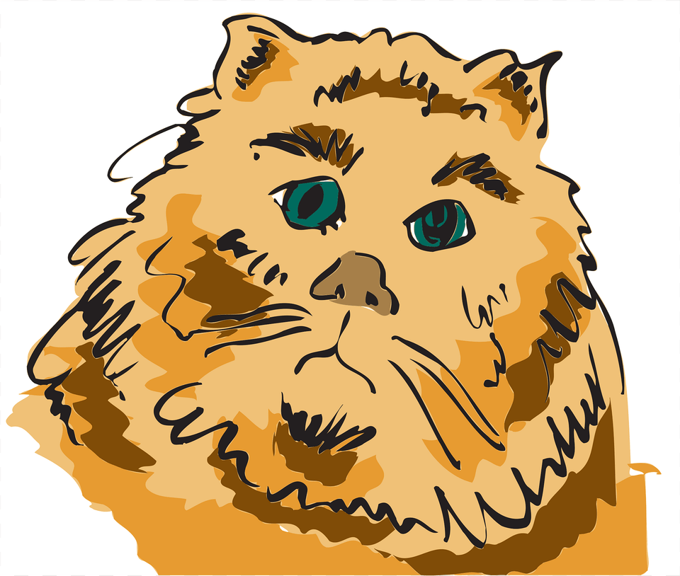 Cat Clipart, Baby, Person, Animal, Mammal Png