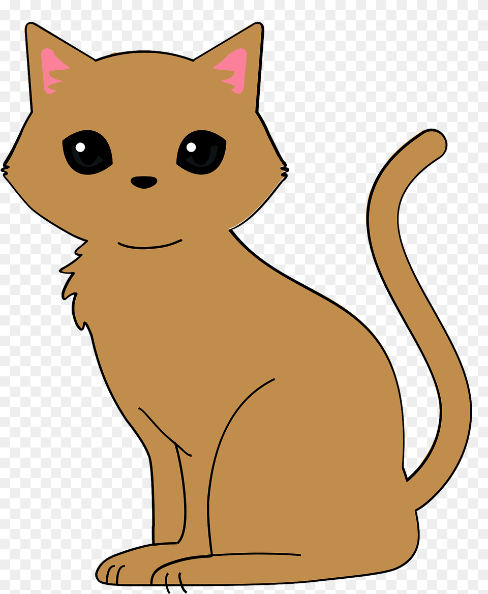 Cat Clipart, Animal, Mammal, Pet, Abyssinian Png