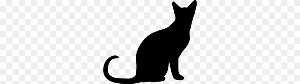 Cat Clipart, Gray Png Image