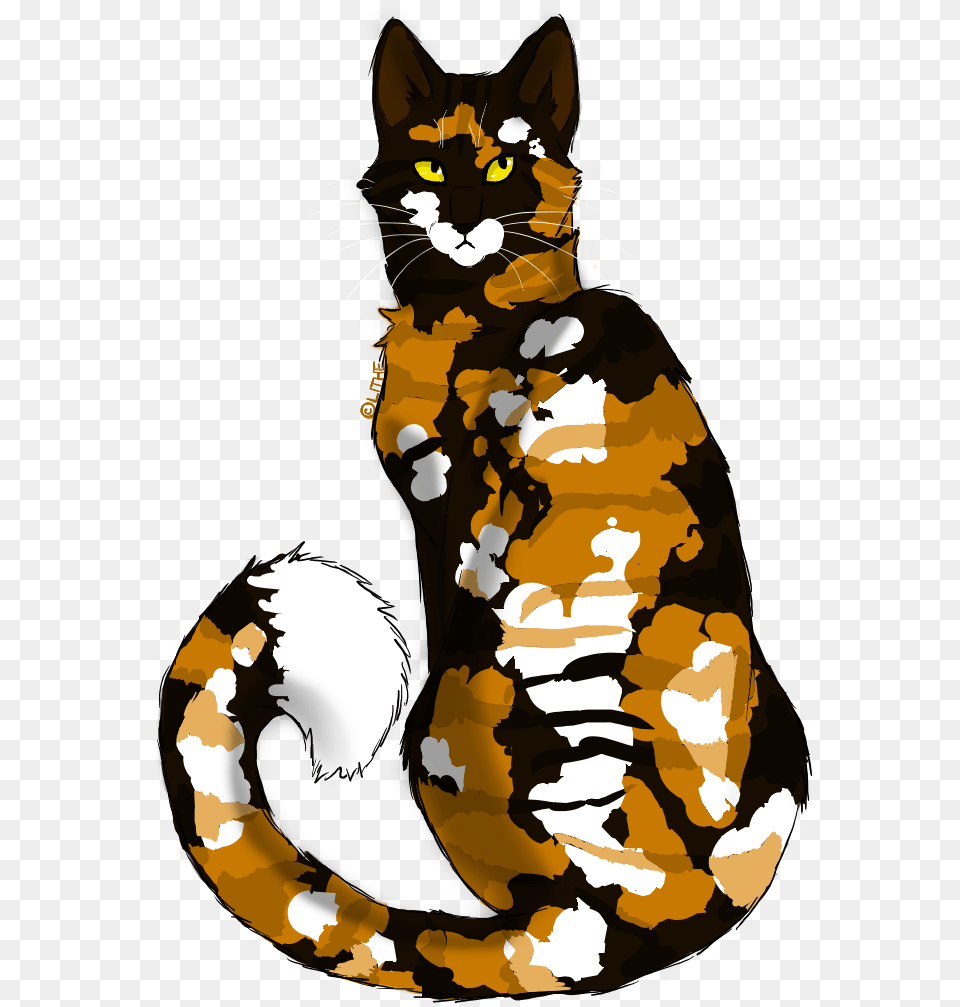 Cat Clipart Calico Tabby Domestic Short Haired Cat, Animal, Mammal, Pet Free Png