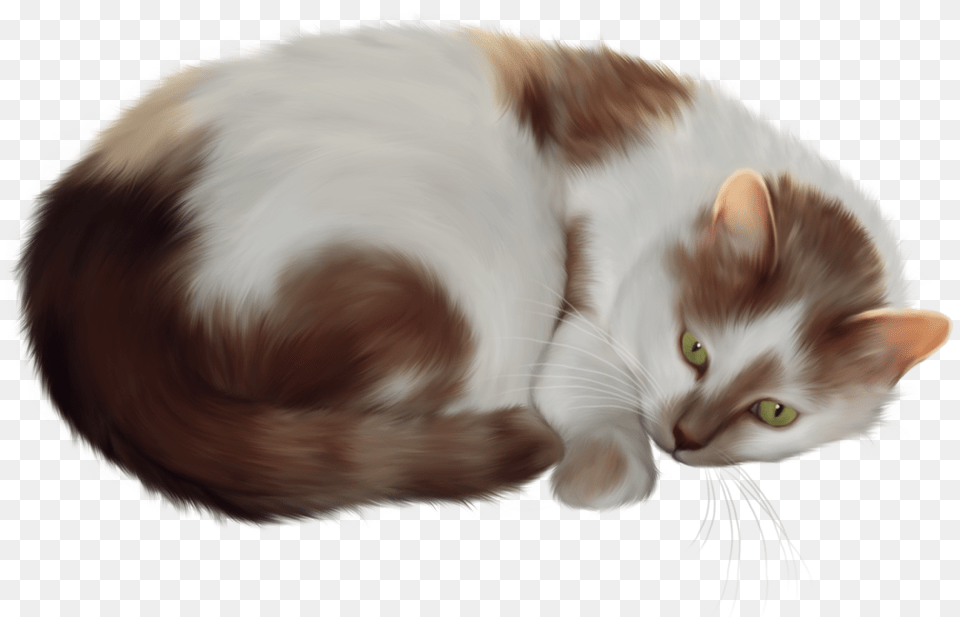 Cat Clipart Cat Clip Art, Animal, Mammal, Manx, Pet Free Png
