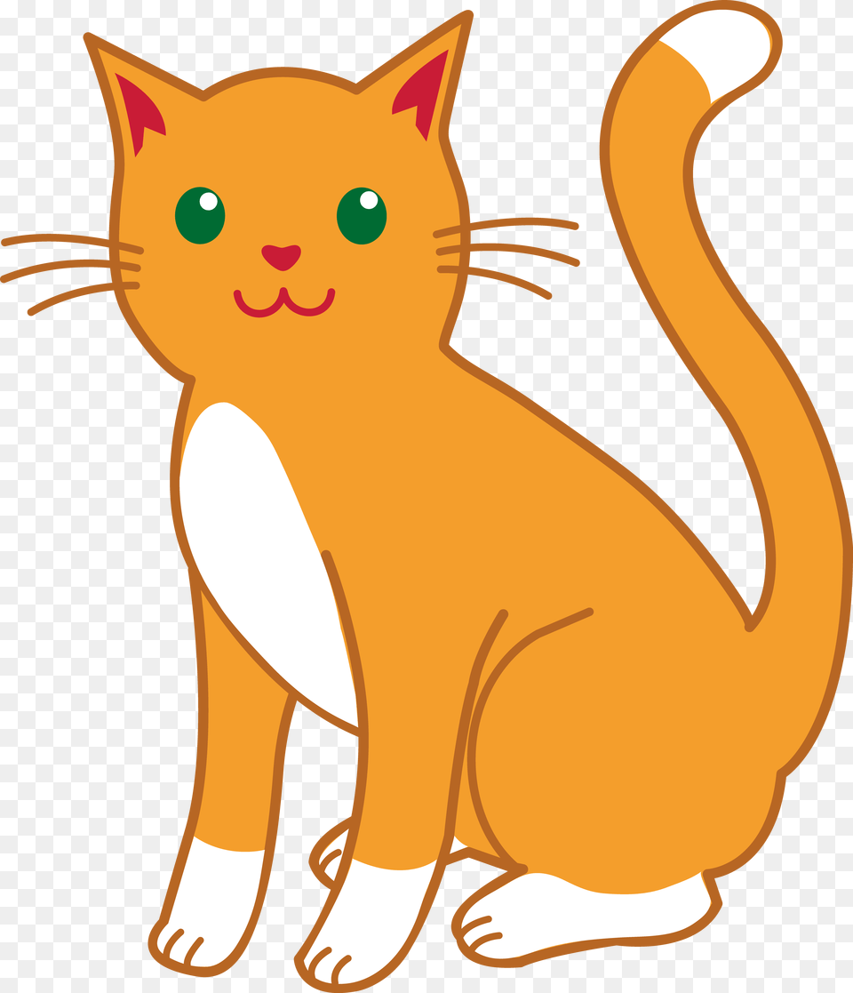 Cat Clipart Transparent Orange Cat Clip Art, Animal, Mammal, Pet, Abyssinian Png