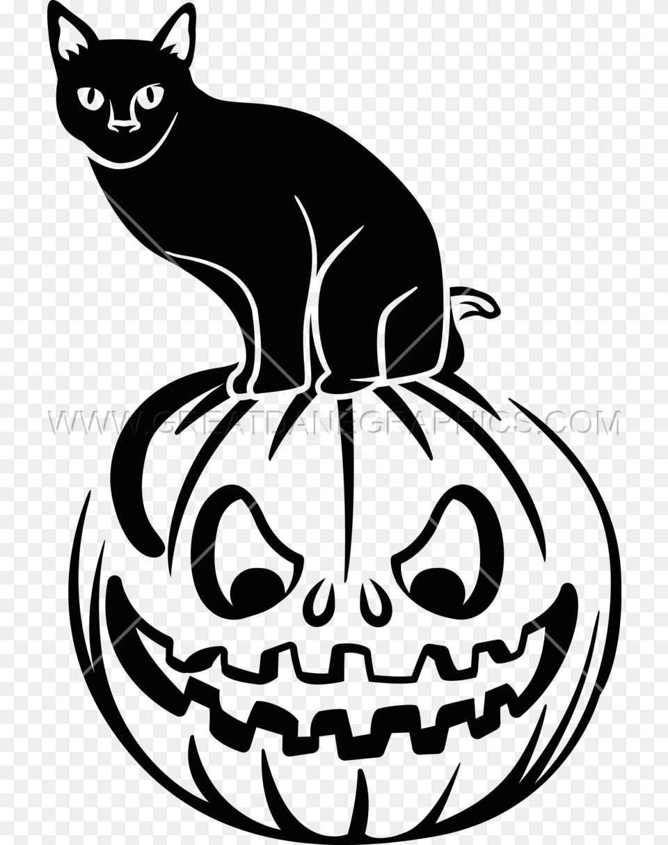 Cat Clipart Tshirt Black And White Pumpkin And Cat Clip Art, Animal, Mammal, Pet, Black Cat Png
