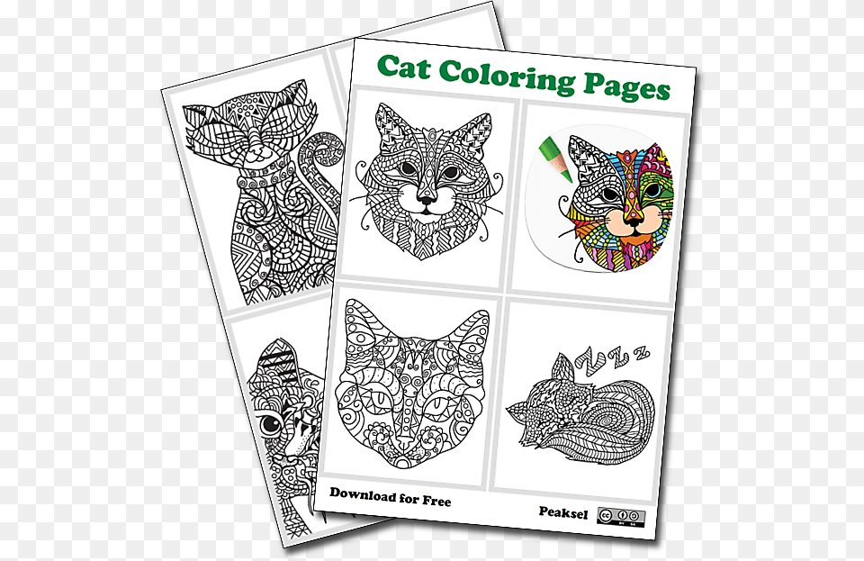 Cat Coloring Pages Children, Doodle, Art, Drawing, Pet Png