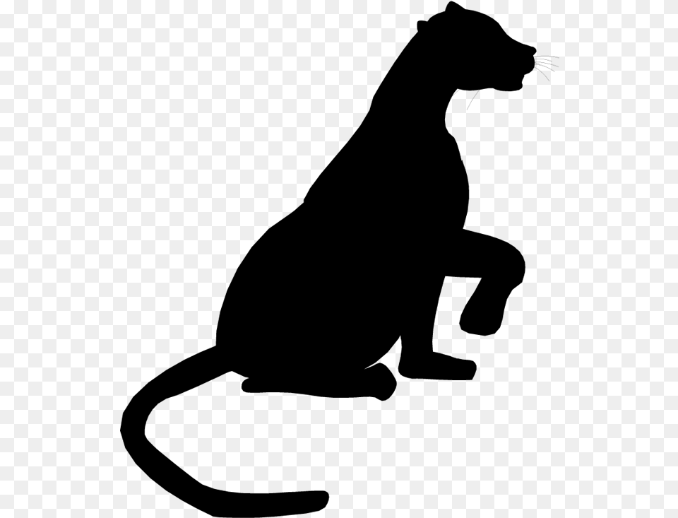 Cat Dog Clip Art Mammal Canidae Illustration, Gray Free Transparent Png
