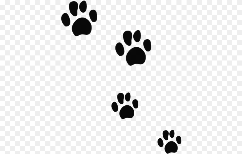 Cat Dog Tiger Bear Felidae Kitten Paw Prints Transparent, Gray Png Image