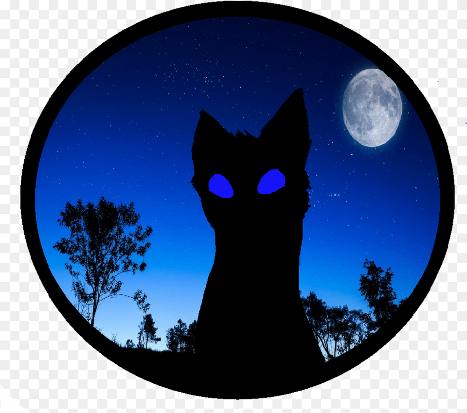 Cat Dog Wallpaper, Nature, Astronomy, Outdoors, Night Png