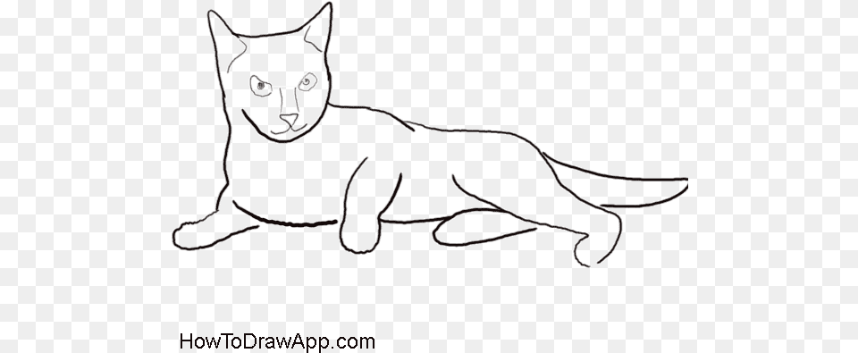 Cat Drawing And Coloring Minskin, Animal, Mammal, Pet, Kangaroo Free Png Download