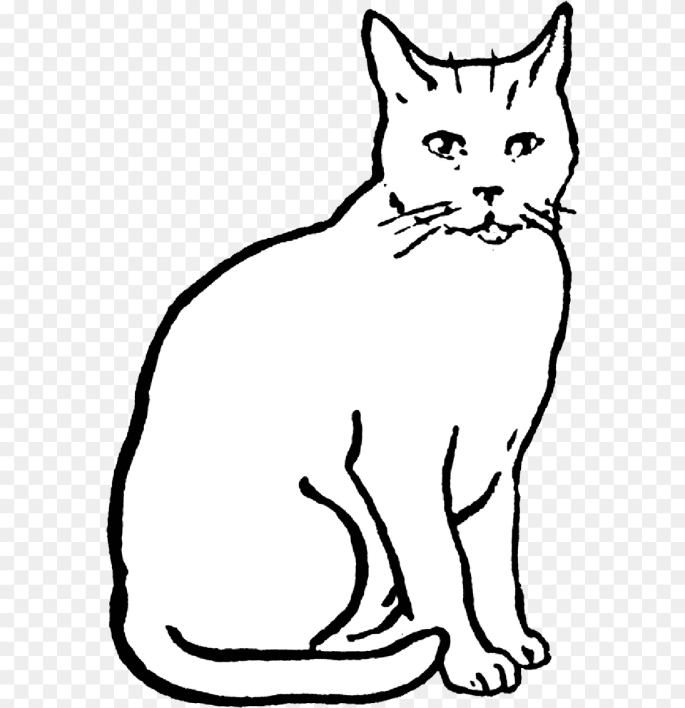 Cat Drawing Animals Digital Stamps Clipart Clip Art Of Cat, Animal, Mammal, Pet, Baby Free Transparent Png
