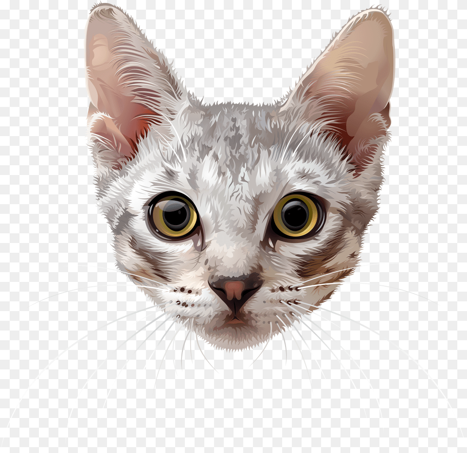 Cat Face, Publication, Book, Baby, Person Free Transparent Png