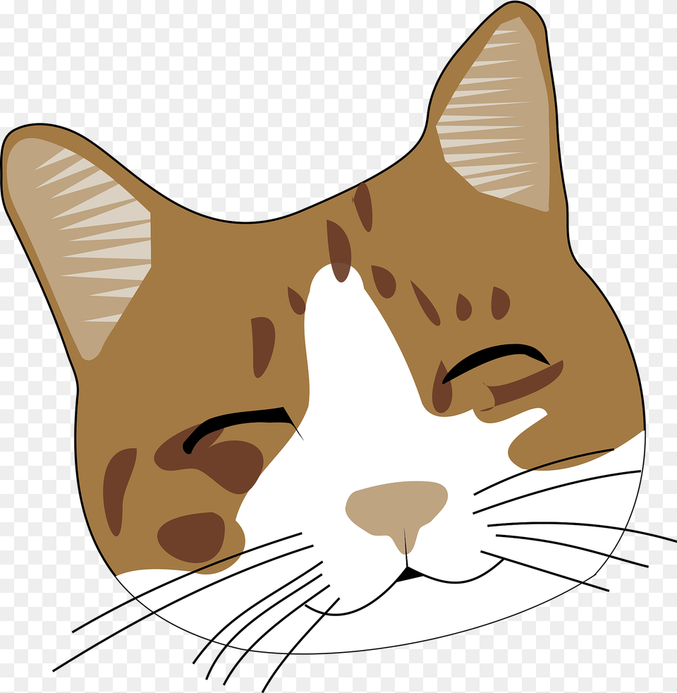 Cat Face Cute Happy Smiling Kitty Cat Head Clipart, Animal, Mammal, Pet, Abyssinian Free Transparent Png