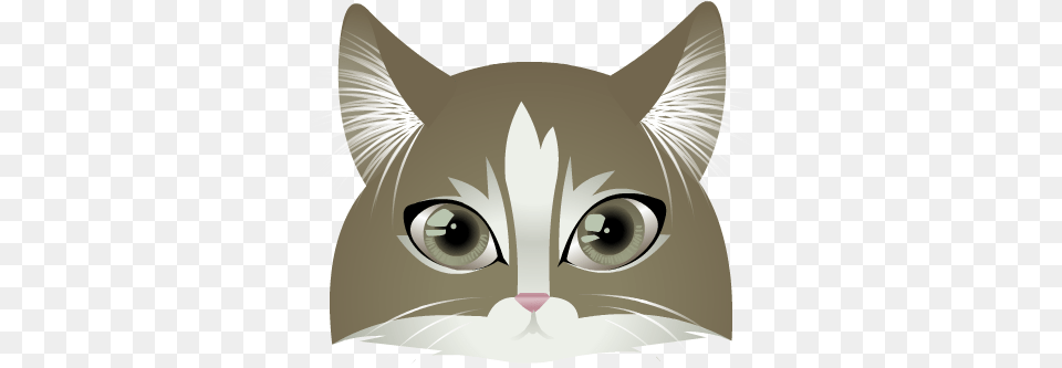 Cat Face Domestic Short Haired Cat, Animal, Mammal, Pet, Aircraft Free Transparent Png