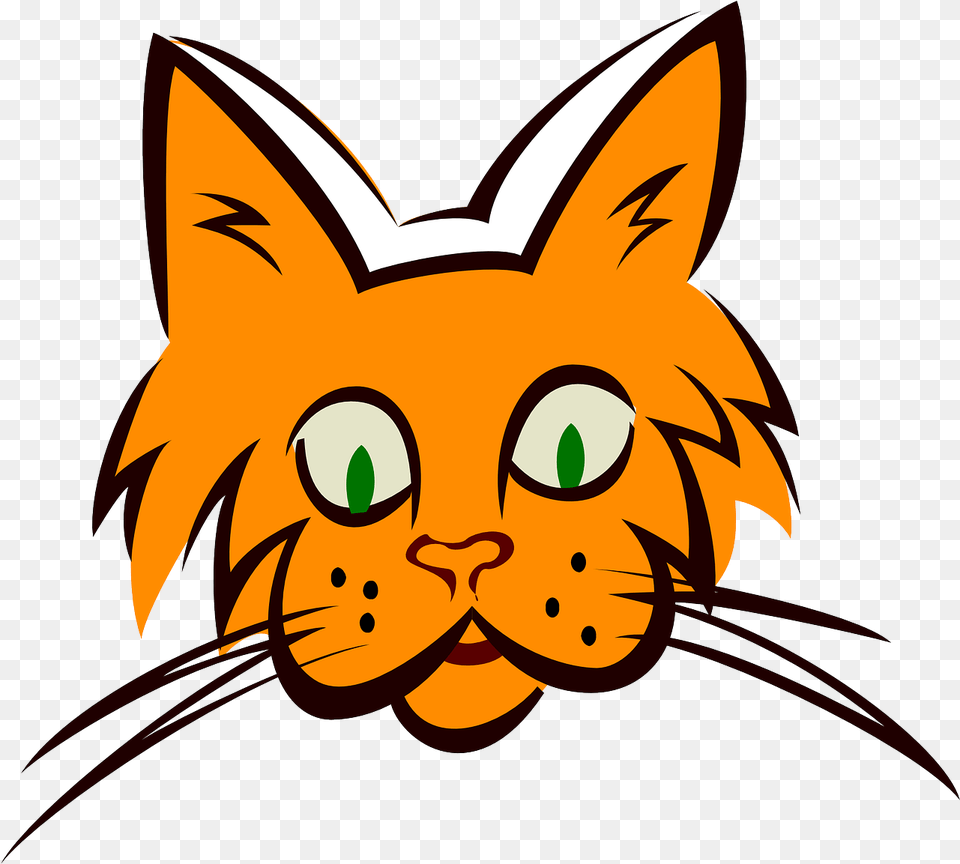 Cat Face Orange Whisker Clipart, Animal, Fish, Sea Life, Shark Free Png